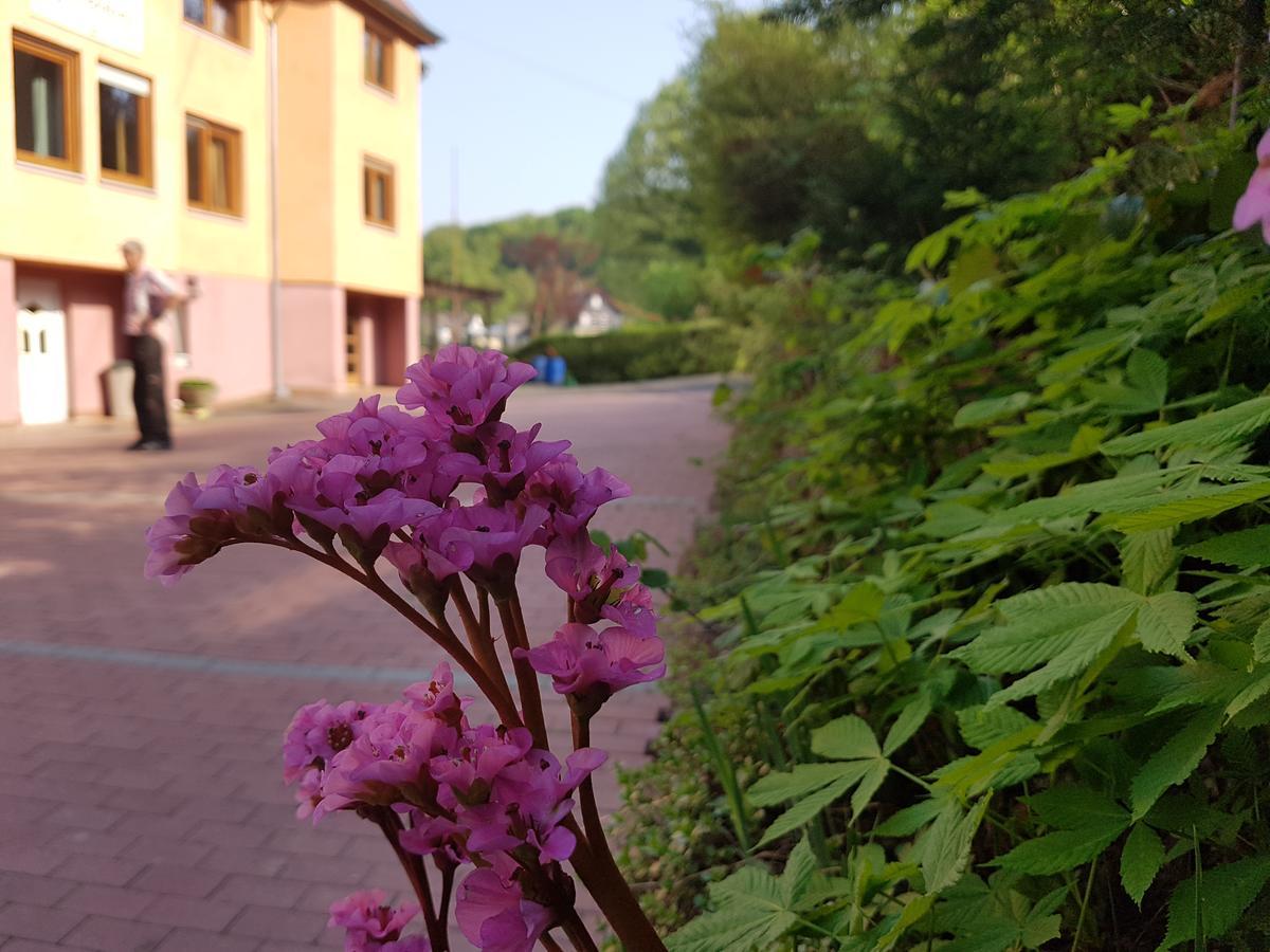 Hotel Zur Engelsburg Hausen-Wied Eksteriør billede